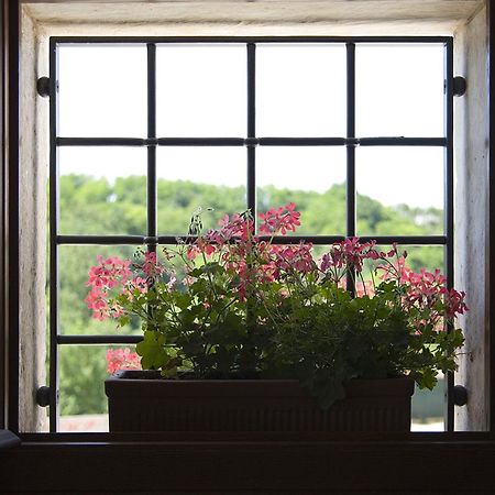 Agriturismo Althea Vittorio Veneto Dış mekan fotoğraf