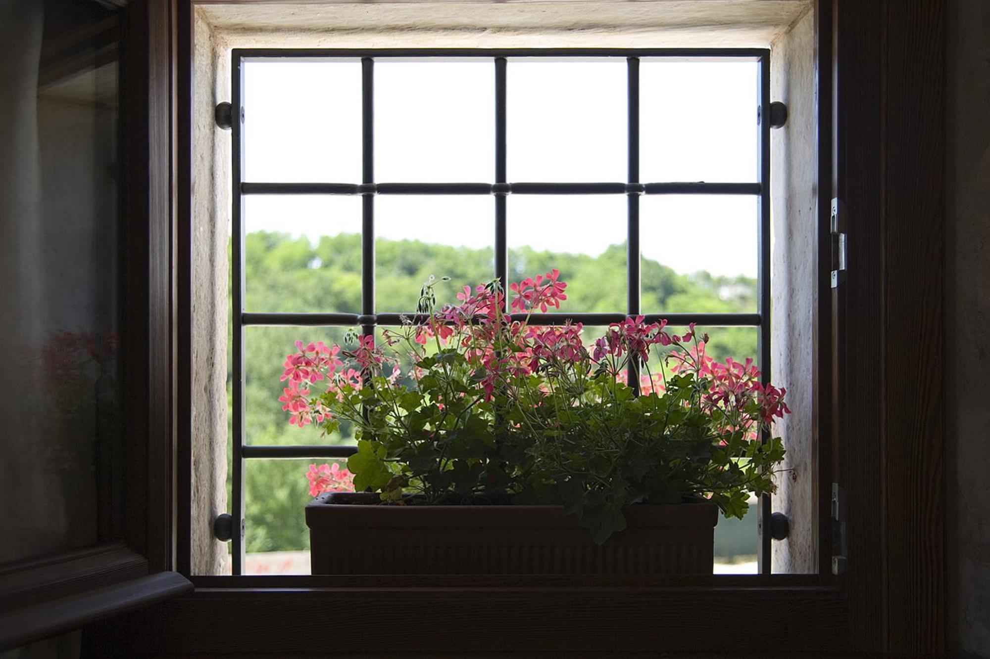 Agriturismo Althea Vittorio Veneto Dış mekan fotoğraf