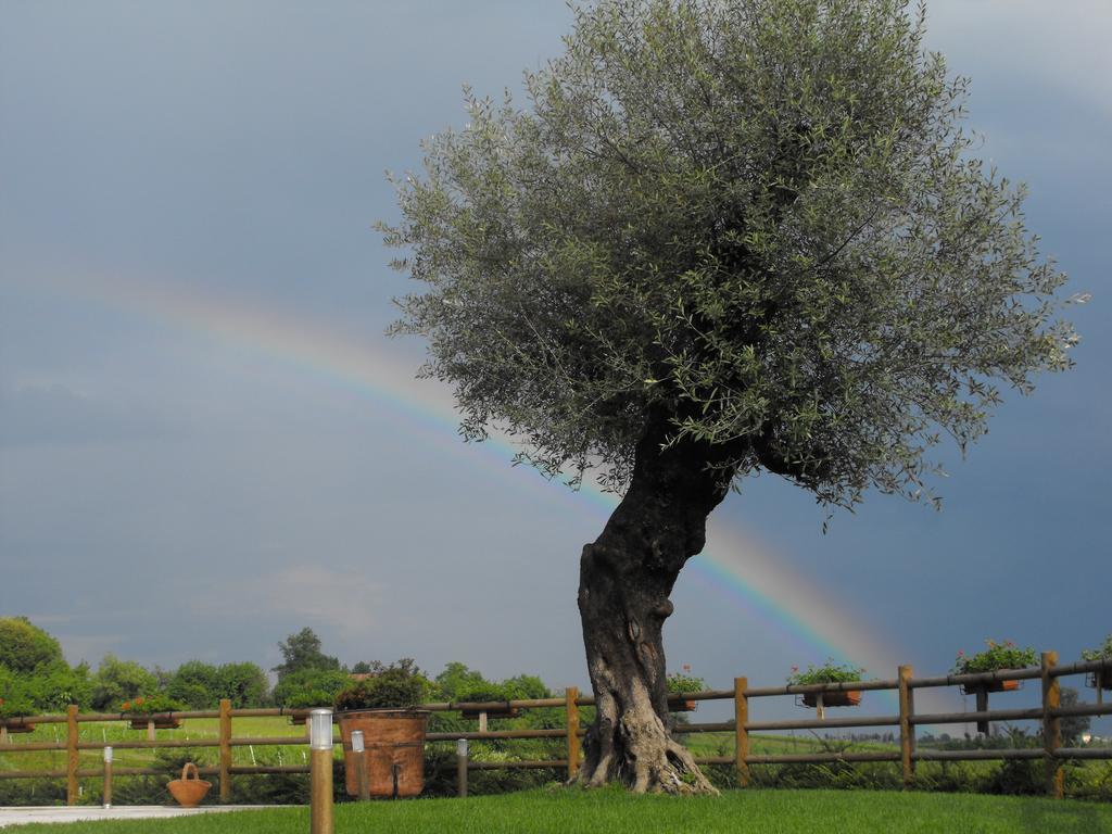 Agriturismo Althea Vittorio Veneto Dış mekan fotoğraf