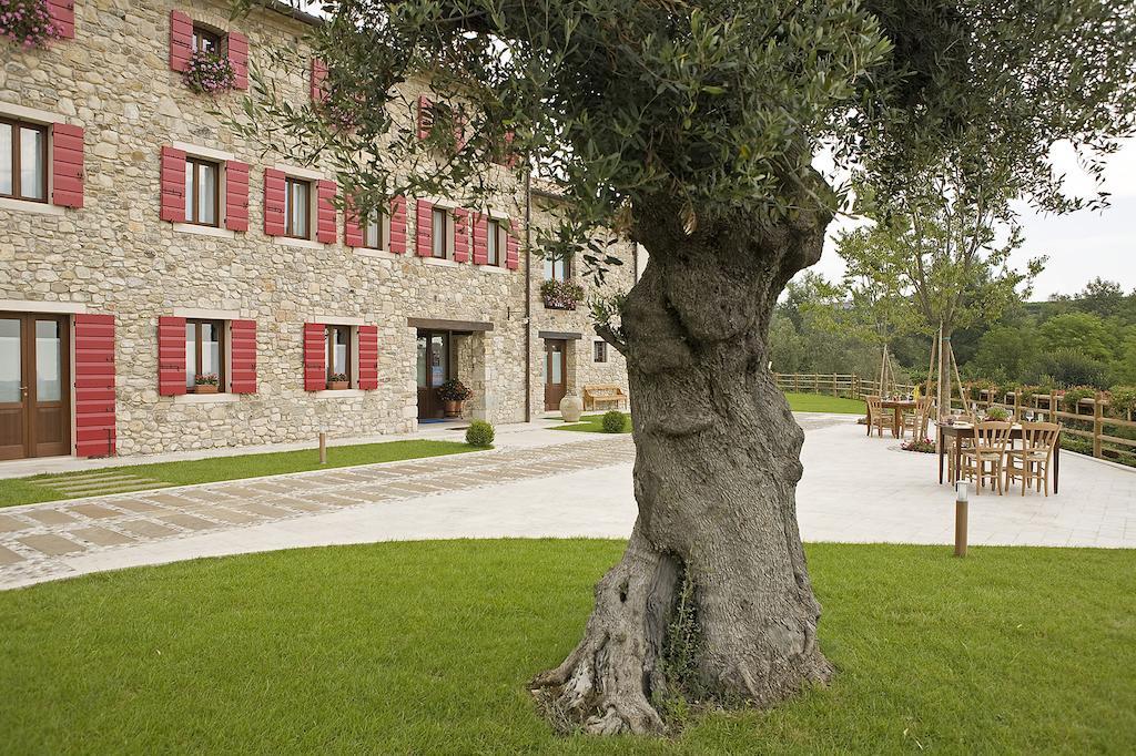 Agriturismo Althea Vittorio Veneto Dış mekan fotoğraf