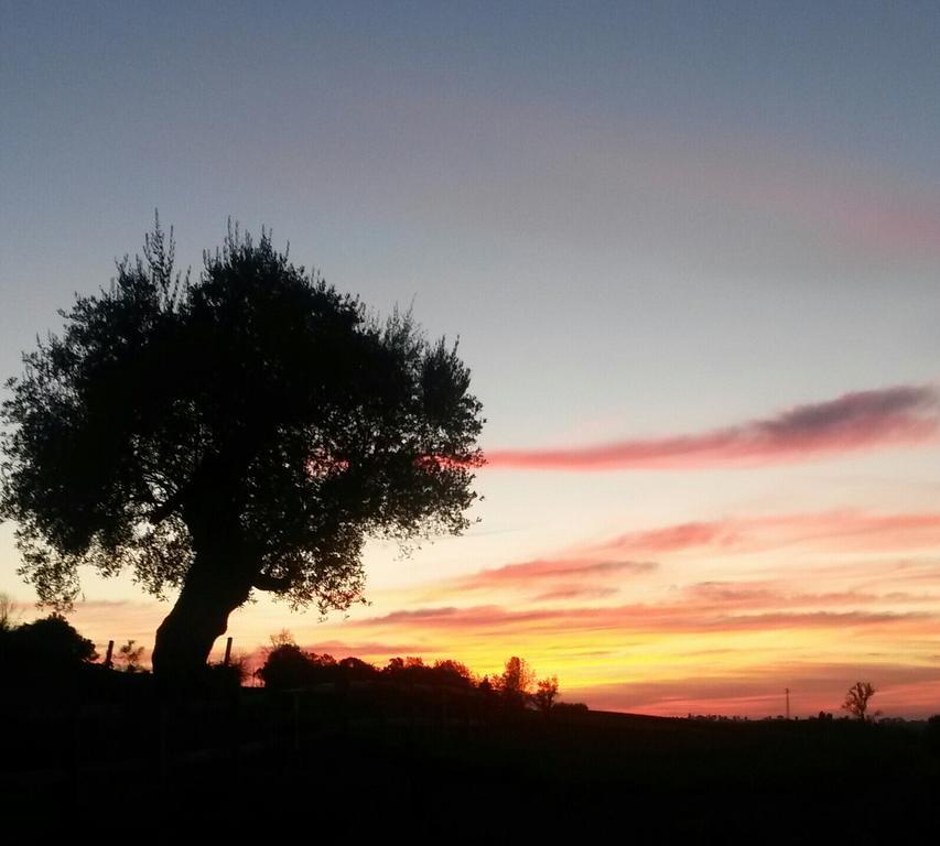 Agriturismo Althea Vittorio Veneto Dış mekan fotoğraf